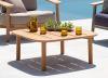 Emu Twins Teak Garden Coffee Table