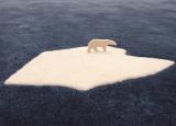 Nani Marquina Global Warming Rug - Now Discontinued