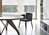 Lema Tabby Dining Chair/Little Armchair