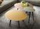 Lema Flowers Coffee/Side Table