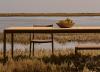 Tribu Nagomi Garden Dining Table