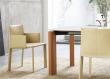 Frag Blyn Dining Armchair