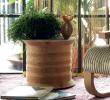 Missoni Home Spool Cedar Coffee Table