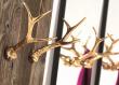 Mogg Hubertus Coat Hooks