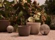 Tribu Maroa Terracotta Planter