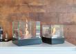 Decoflame Nice Table Top Indoor/Outdoor Bioethanol Fire