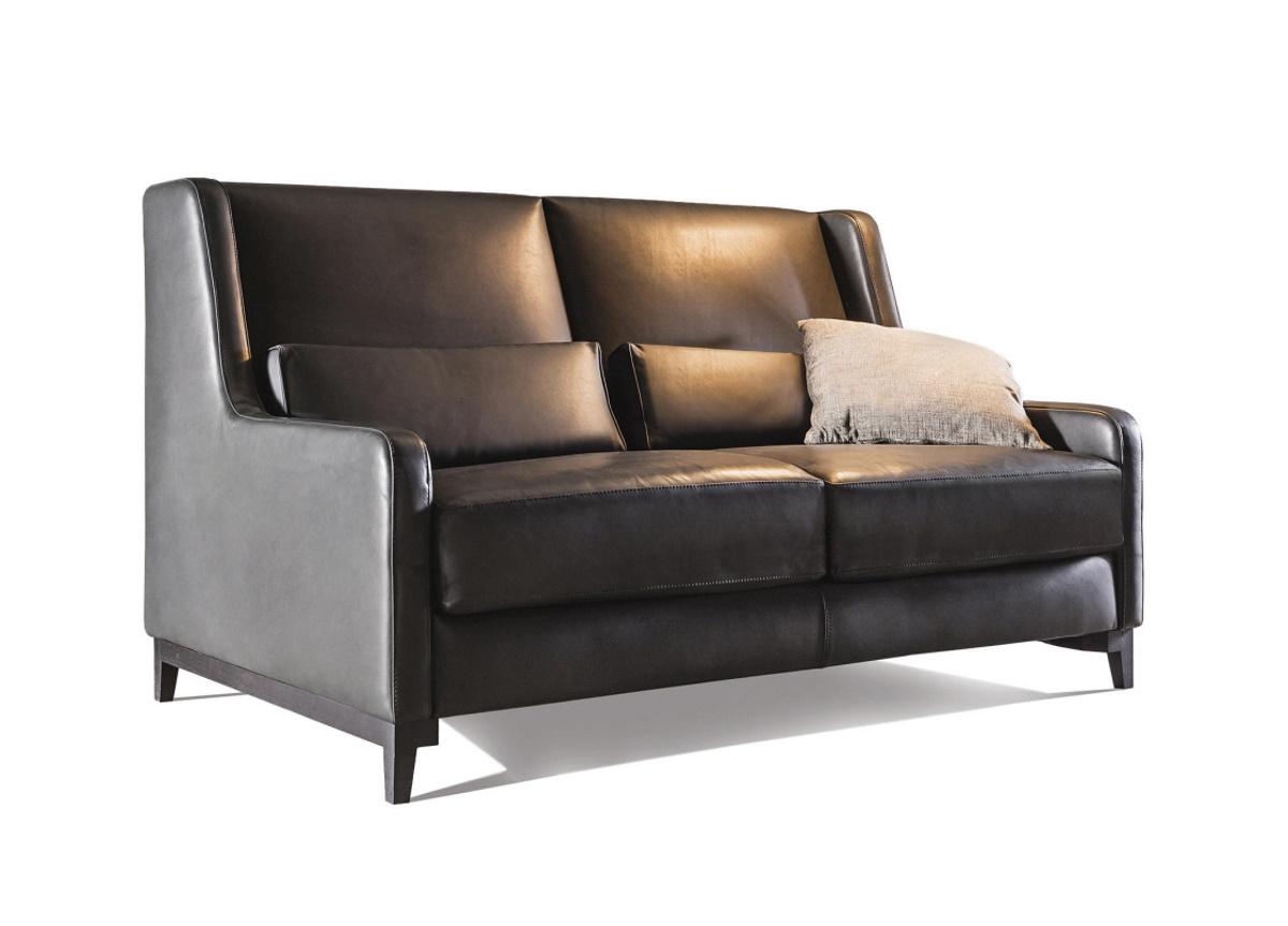 Queen Contemporary Sofa Bed