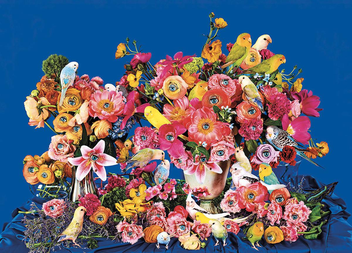 London Art Bird Watching Wallpaper