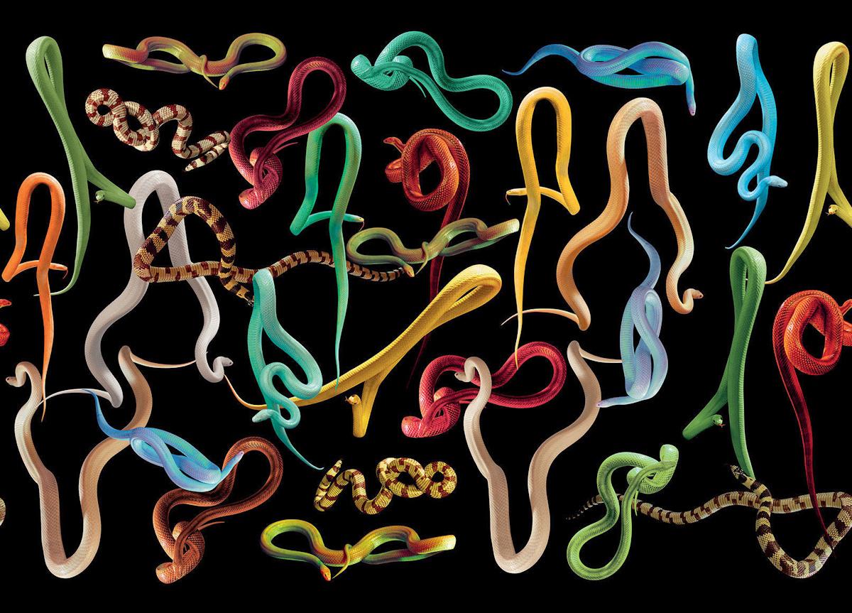 London Art Snakes Storm Wallpaper