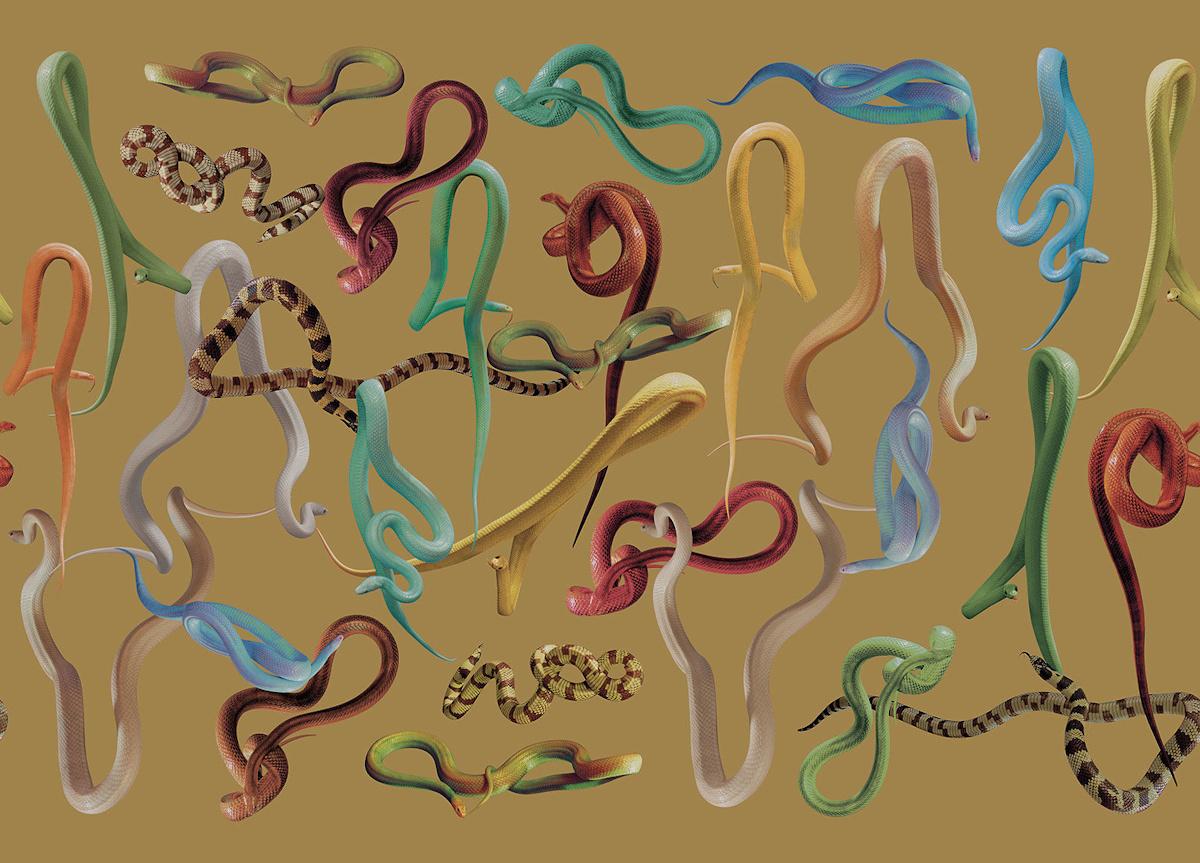 London Art Snakes Storm Wallpaper