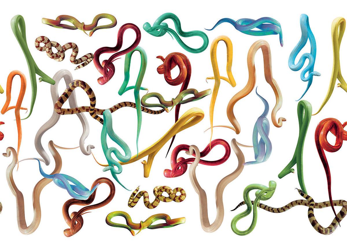 London Art Snakes Storm Wallpaper