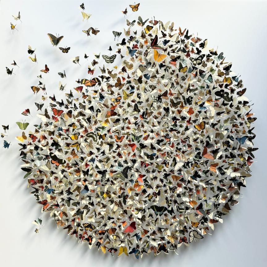 Iconotype 03 by Rebecca Coles