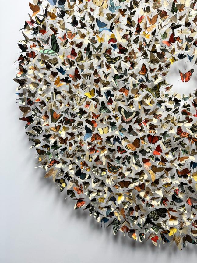Iconotype 02 by Rebecca Coles
