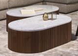 Lema Drum Coffee Table