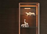 Molteni 45 Degrees Vetrina Display Cabinet