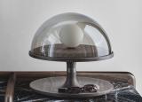 Porada Tack Table Lamp