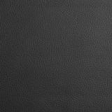 Bonaldo Filly Up Dining Chair - Quickship