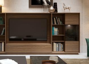 732 Bookcase & TV Unit