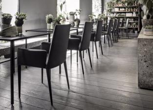 Frag Bella Dining Armchair