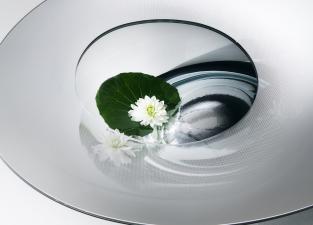 Glas Italia Nacre Coffee Table