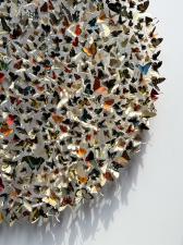 Iconotype 03 by Rebecca Coles