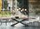 Cattelan Italia Spyder Wood Table