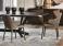 Cattelan Italia Wanda Dining Chair