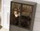 715 Glass Front Cabinet