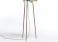 Mogg Amazzonio Floor Lamp