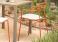 Emu Apero Garden Dining Armchair