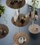 Cattelan Italia Address Bookcase