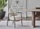 Porada Biloba Dining Armchair