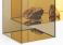 Glas Italia Donald Coffee Table