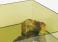 Glas Italia Donald Coffee Table