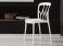 Bontempi Galaxy Dining Chair