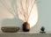 Occhio Io Basso Lamp/Floor Spotlight