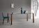 Tonelli Livingstand Glass Dining Table