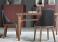 Lema Lucy Dining Chair- Now Discontinued