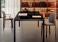 Pianca Orchestra Dining Chair