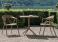 Emu Reef Garden Dining Chair- Discontinued