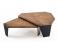 Porada Tortuga Coffee Table