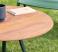 Zebra Garden Coffee Table