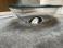 Glas Italia Nacre Coffee Table With Hole - Ex-Display